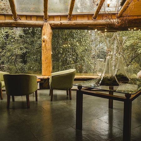 Appartement Huilo Huilo Montana Magica à Panguipulli Extérieur photo