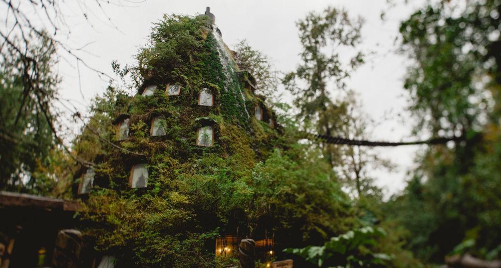 Appartement Huilo Huilo Montana Magica à Panguipulli Extérieur photo